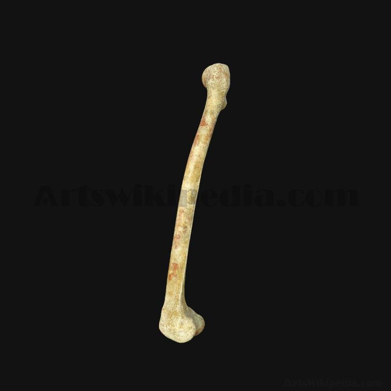 3d-femur-bone-model-5d6584ab0cb92