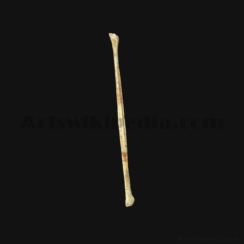 3d-fibula-bone-5d6584b2ea747