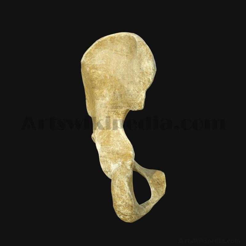 3d-pelvic-bone-model-5d658a2b994b8