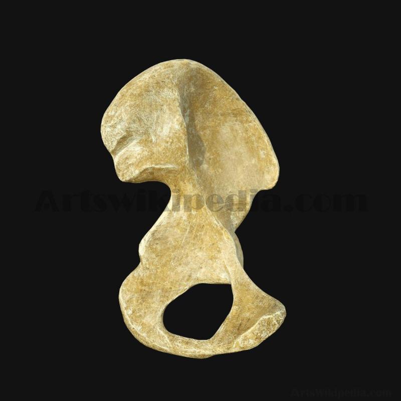 3d-pelvic-bone-model-5d658a2be2b0b