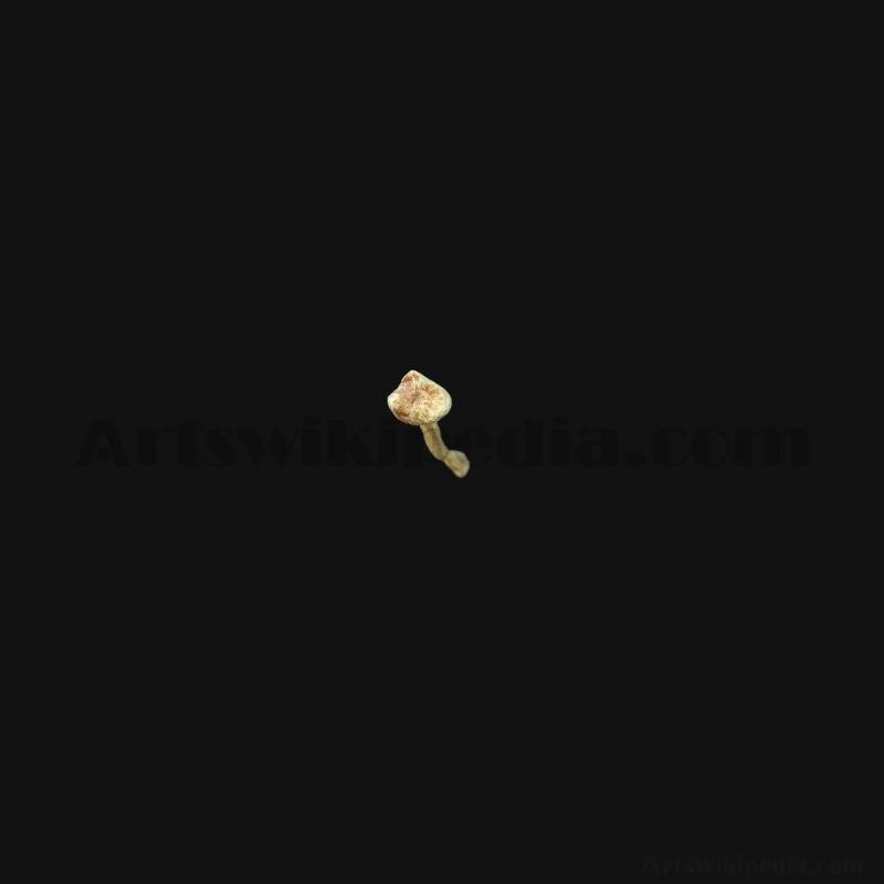 3D Fibula Bone